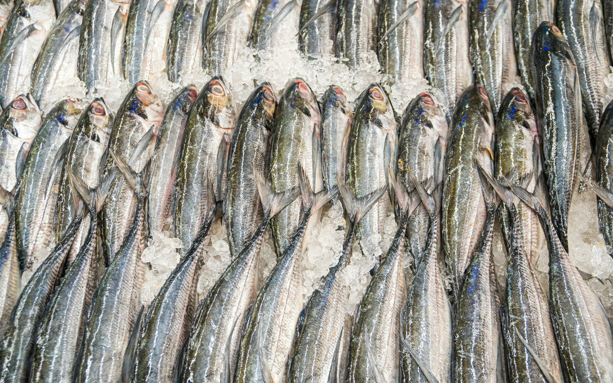 Man HU — cold-water seafood hero