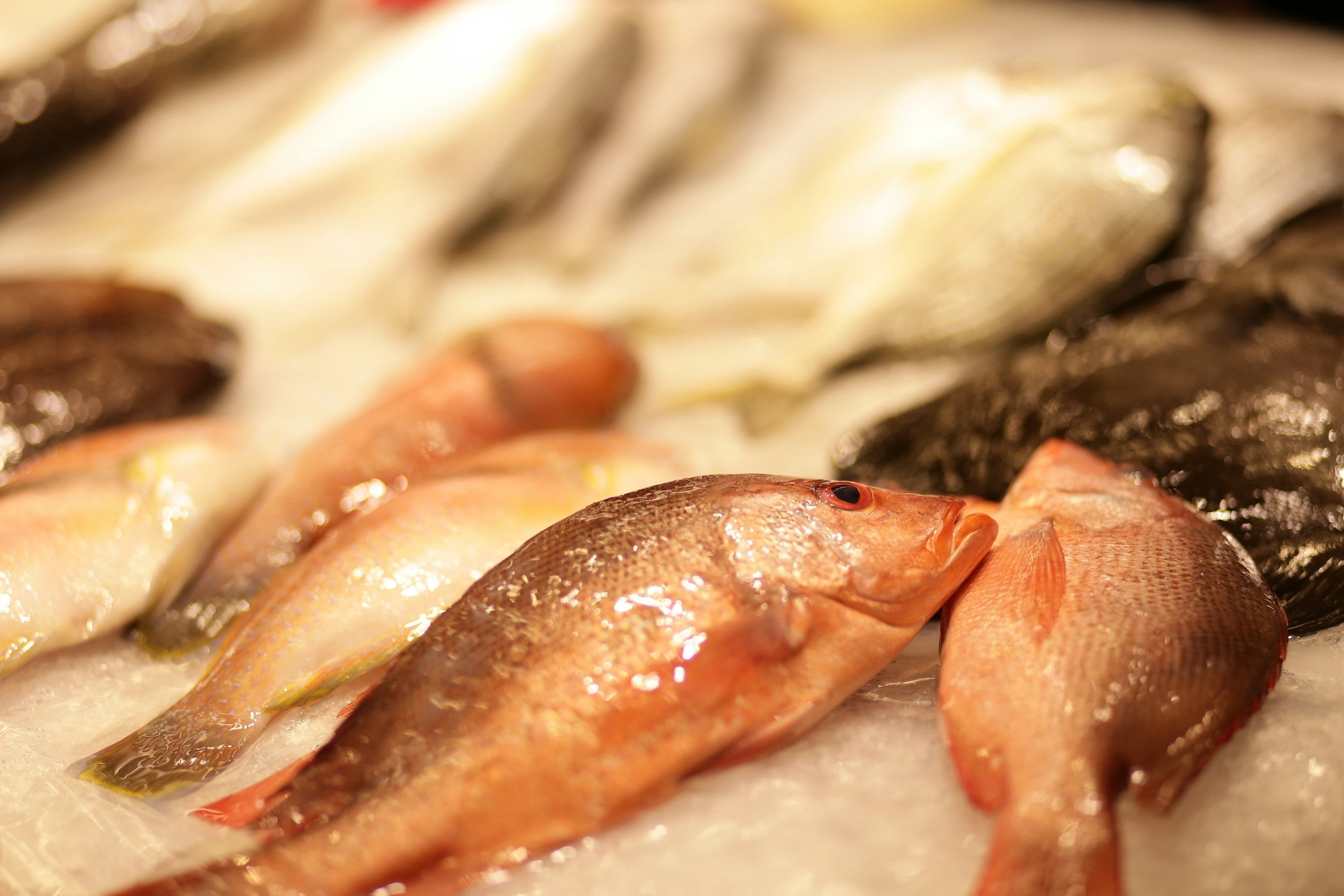 Man HU — seafood selection